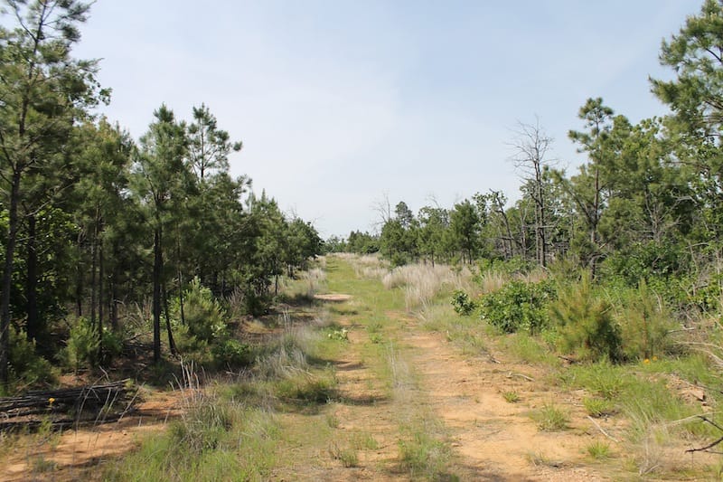 Indian Ridge – Phase II Tract 69 photo 1