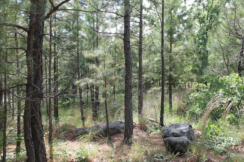 Indian Ridge – Phase II Tract 69 photo 3