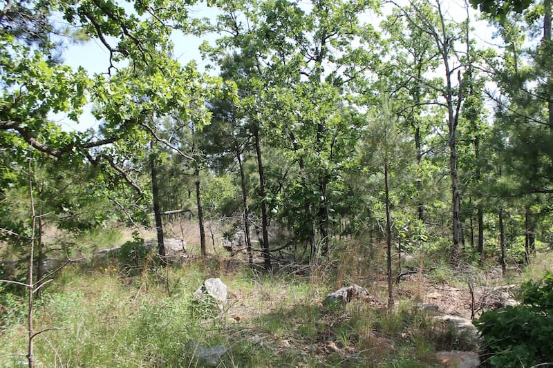 Indian Ridge – Phase II Tract 69 photo 4