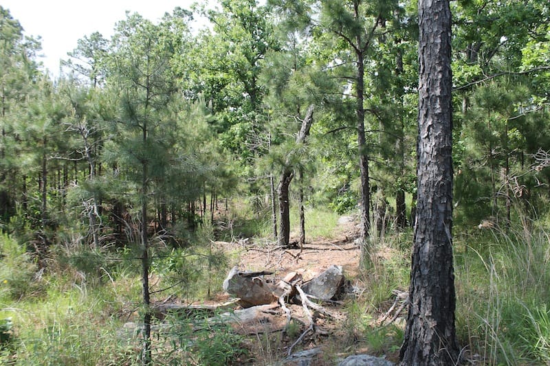 Indian Ridge – Phase II Tract 69 photo 5