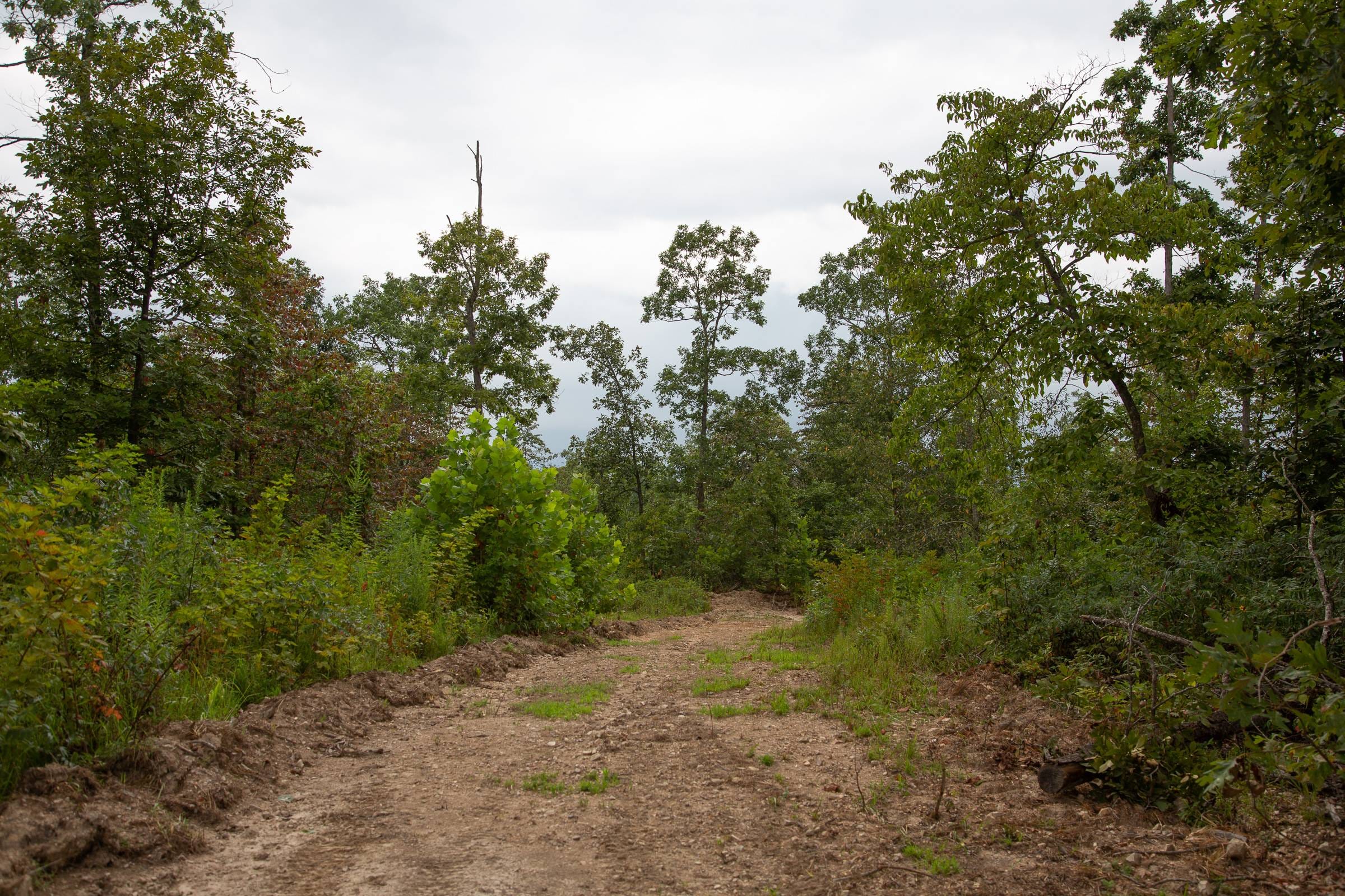 Borgmann’s Hollow Phase II Tract 39 photo 1