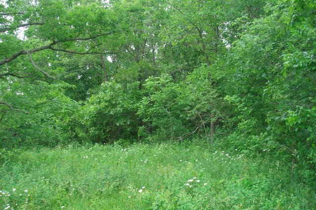 Whispering Oaks Tract 7 photo 1