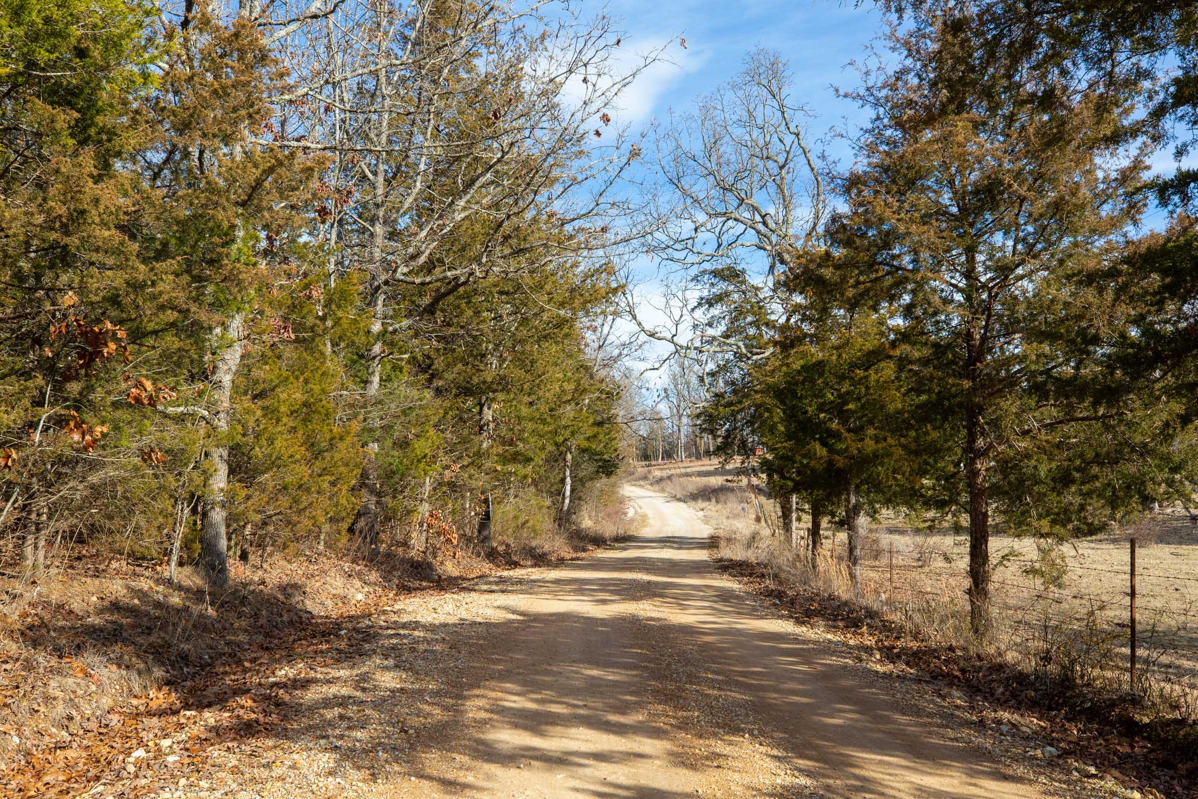Forest Hill Tract 4 photo 12