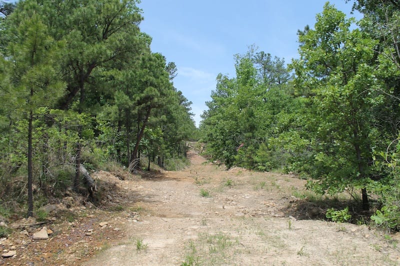 Indian Ridge – Phase II Tract 61 photo 1