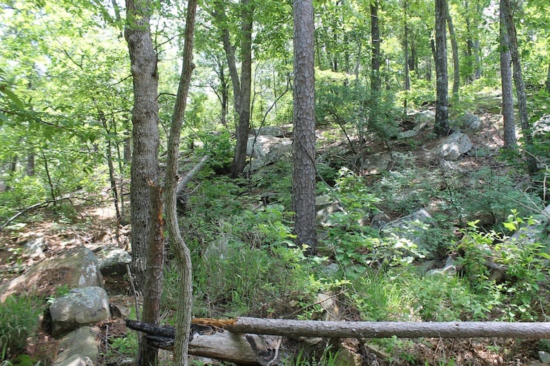 Indian Ridge – Phase II Tract 61 photo 2