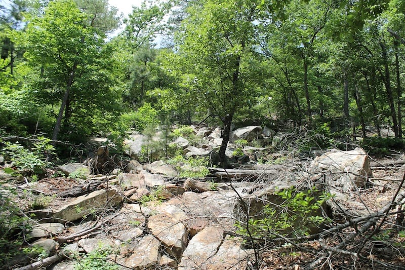 Indian Ridge – Phase II Tract 61 photo 3