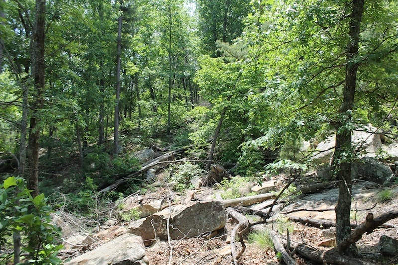 Indian Ridge – Phase II Tract 61 photo 4