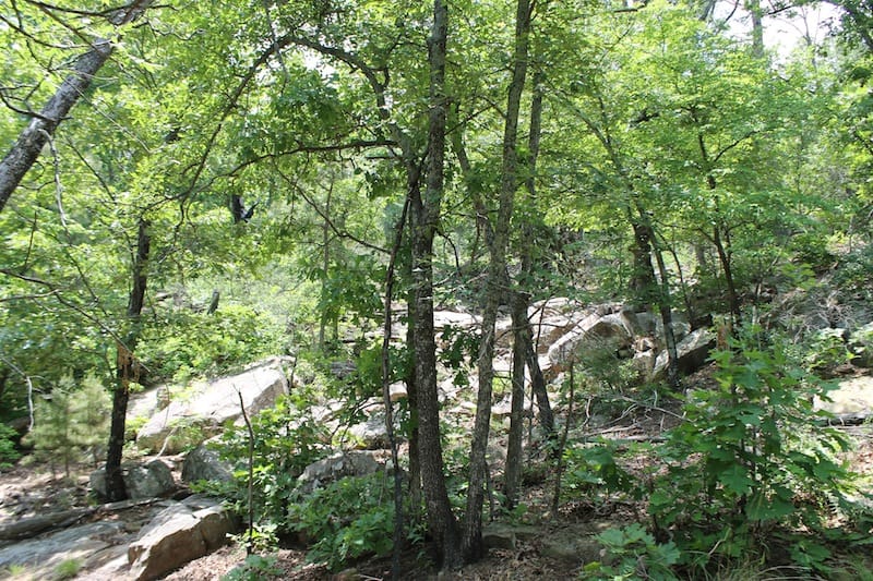 Indian Ridge – Phase II Tract 61 photo 6
