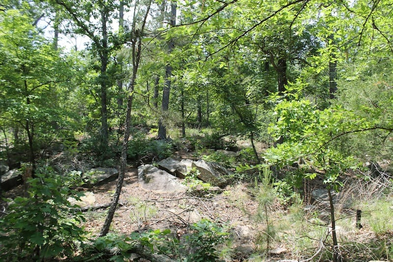 Indian Ridge – Phase II Tract 61 photo 7