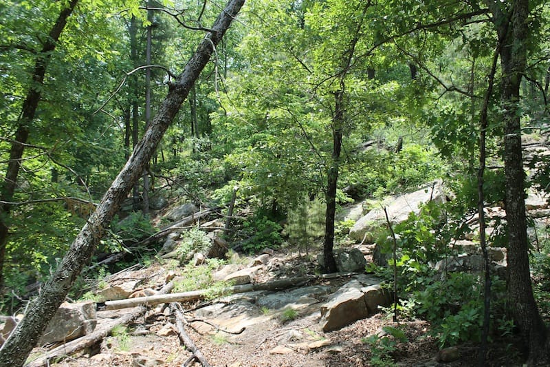 Indian Ridge – Phase II Tract 61 photo 8
