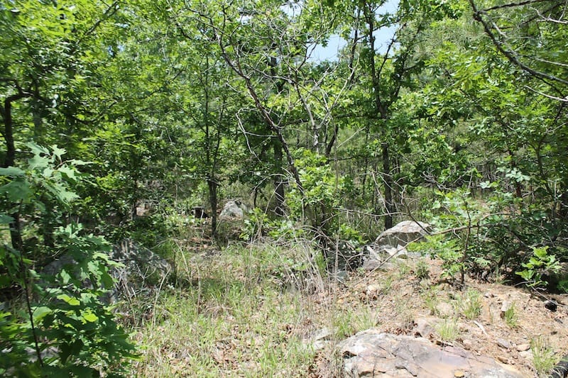 Indian Ridge – Phase II Tract 61 photo 9