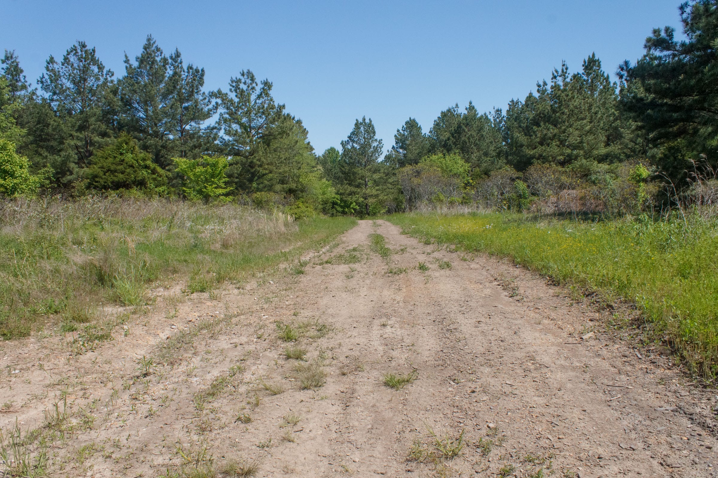 Riverbend Tract 27 photo 3