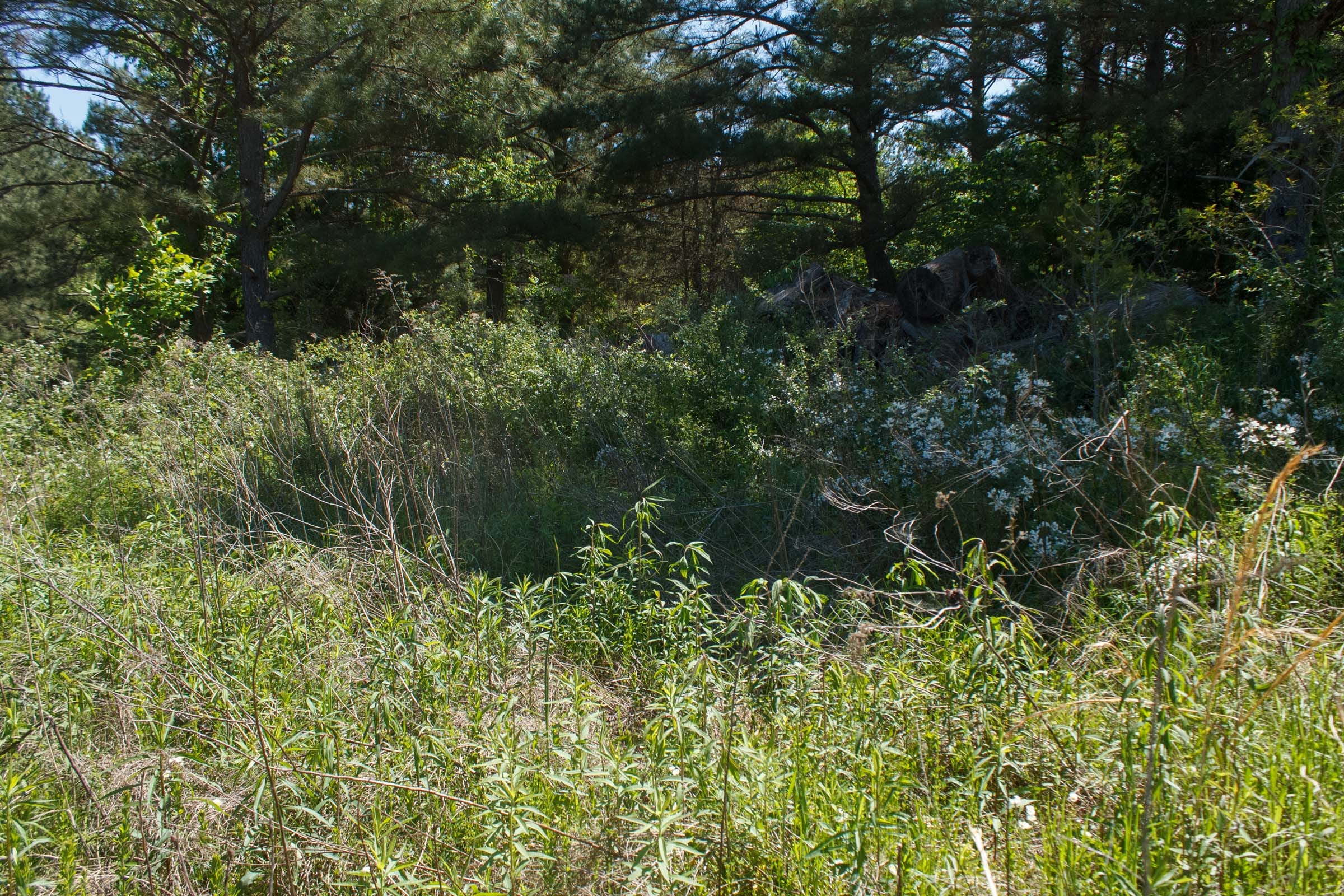 Riverbend Tract 27 photo 4