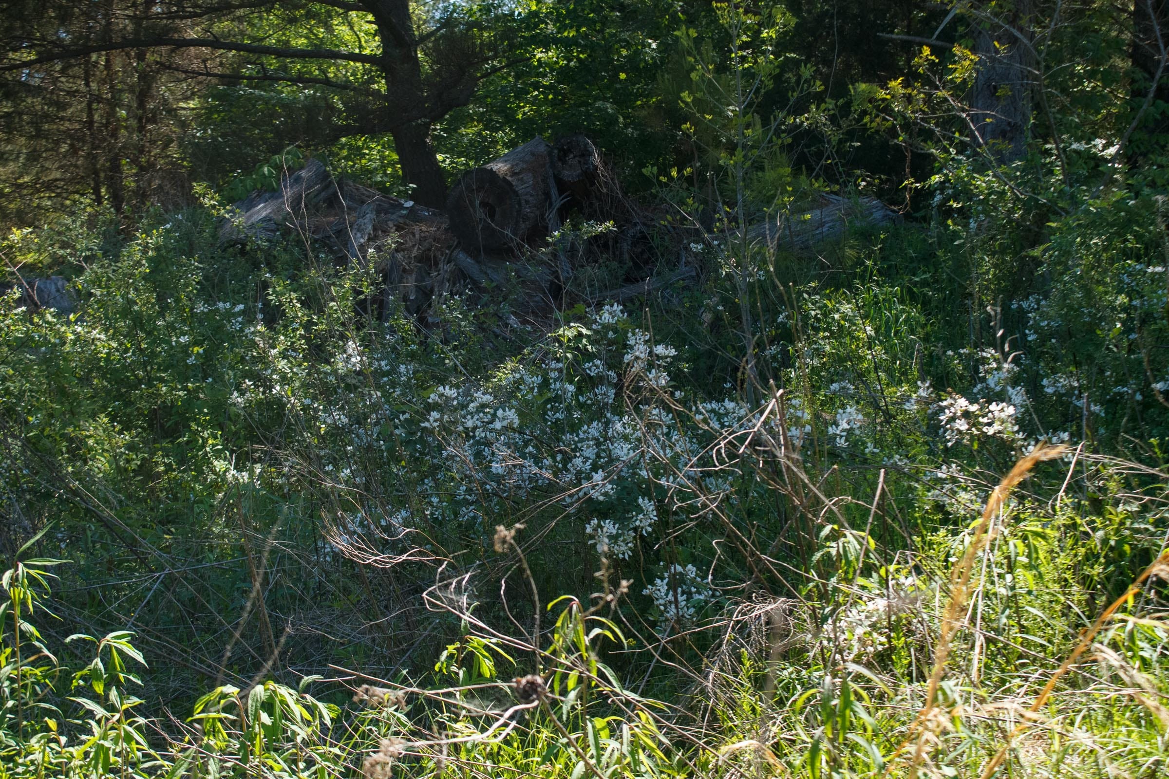Riverbend Tract 27 photo 5