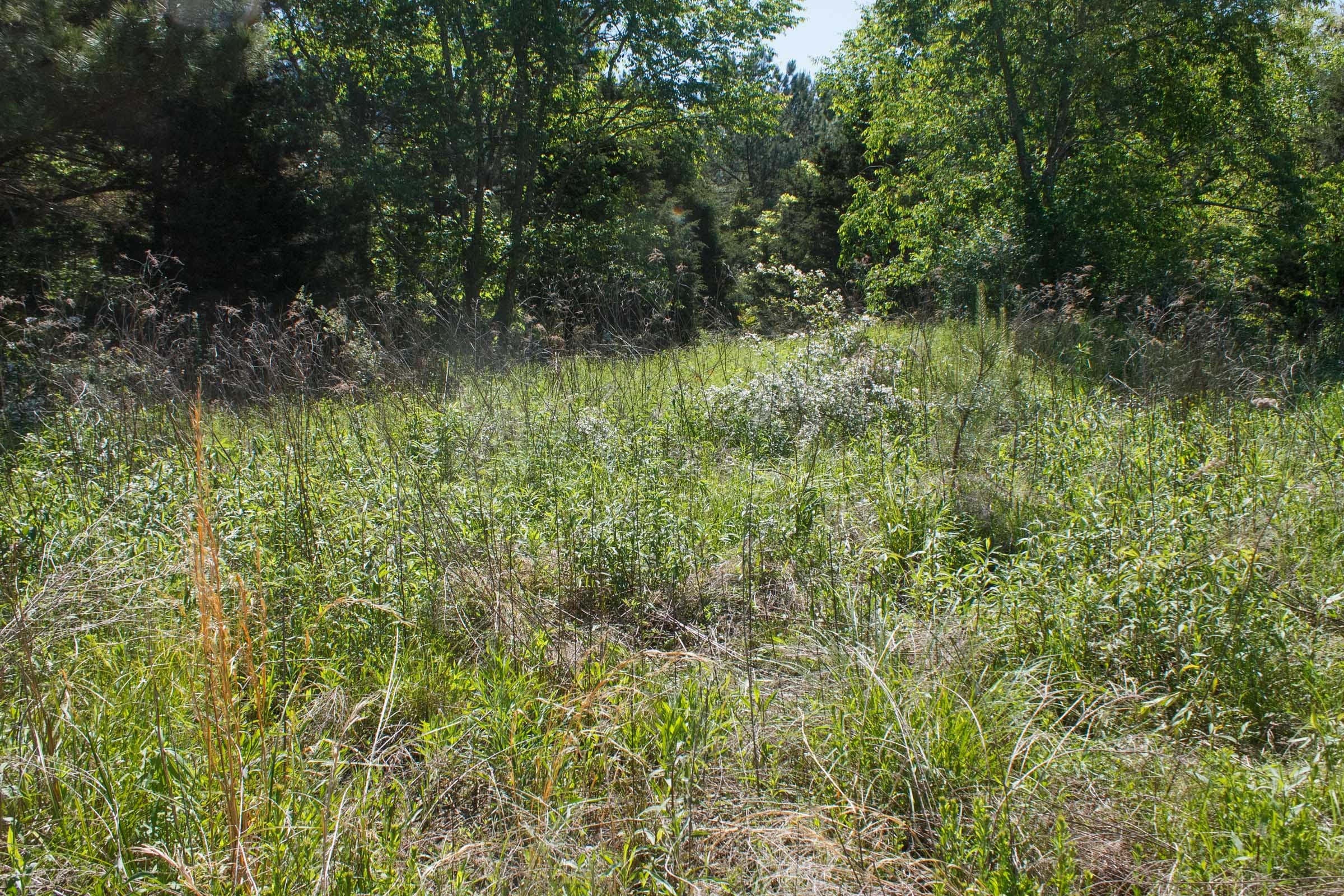 Riverbend Tract 27 photo 6