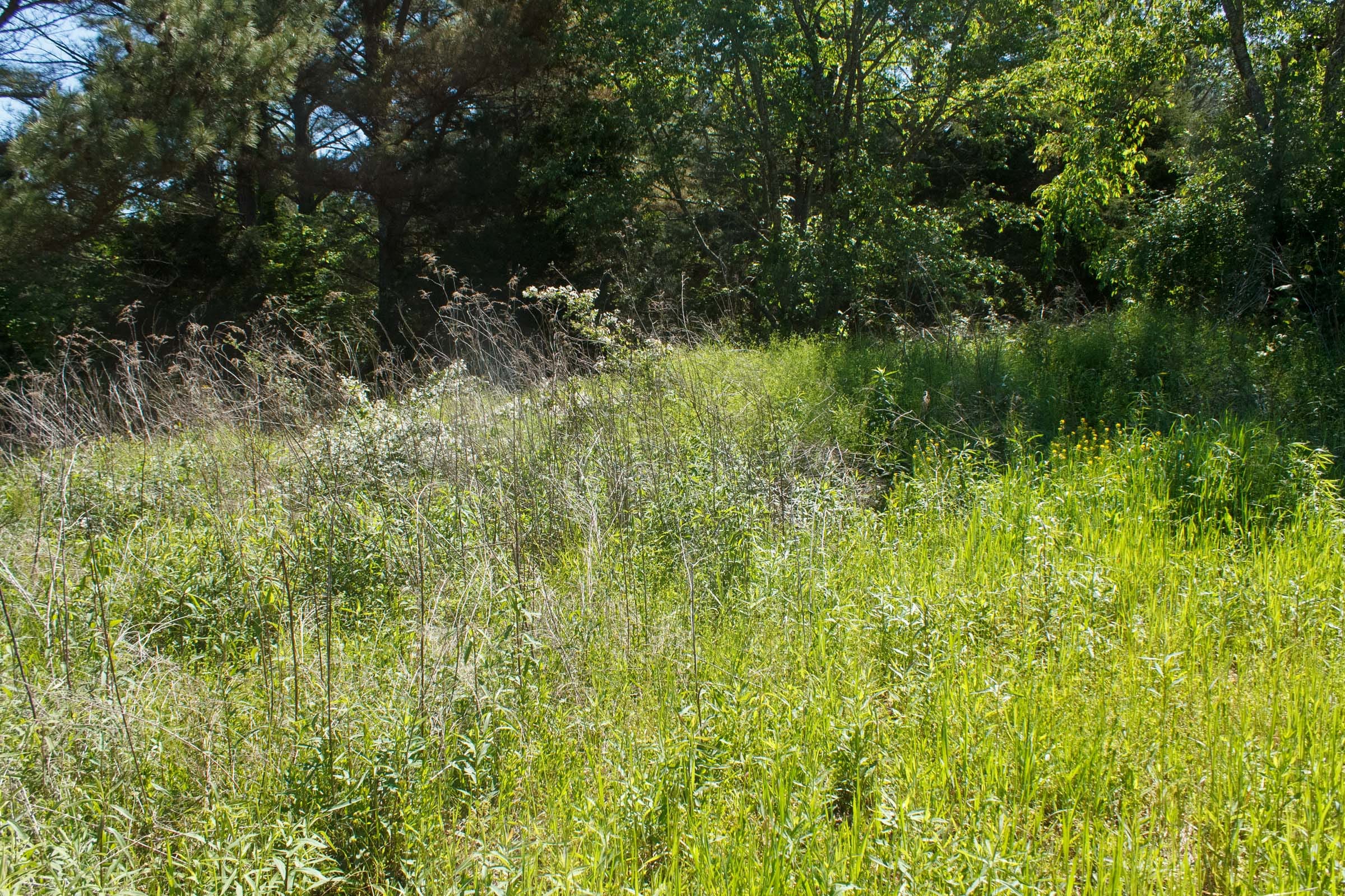 Riverbend Tract 27 photo 8