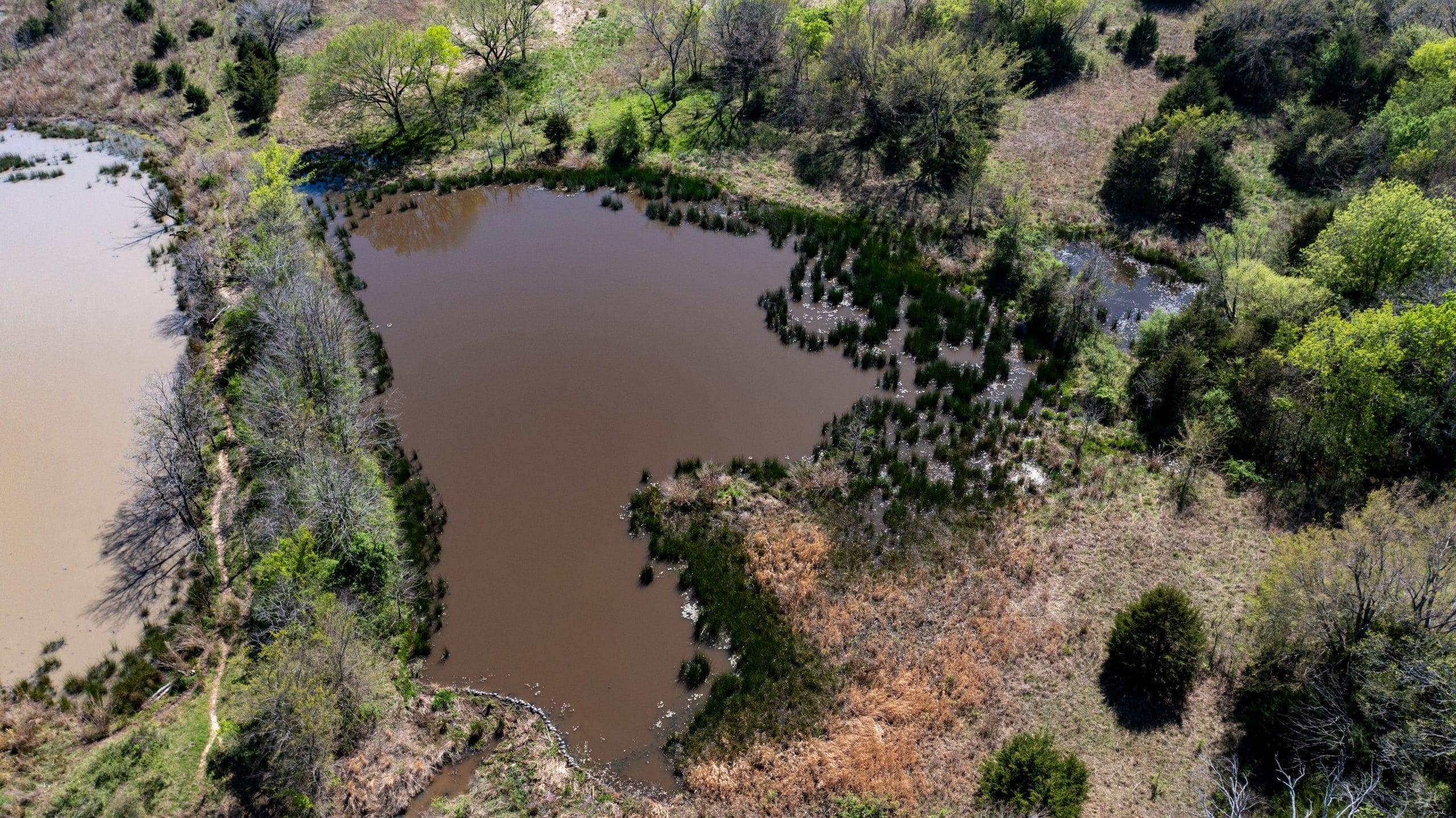 Prairie Grove photo 3