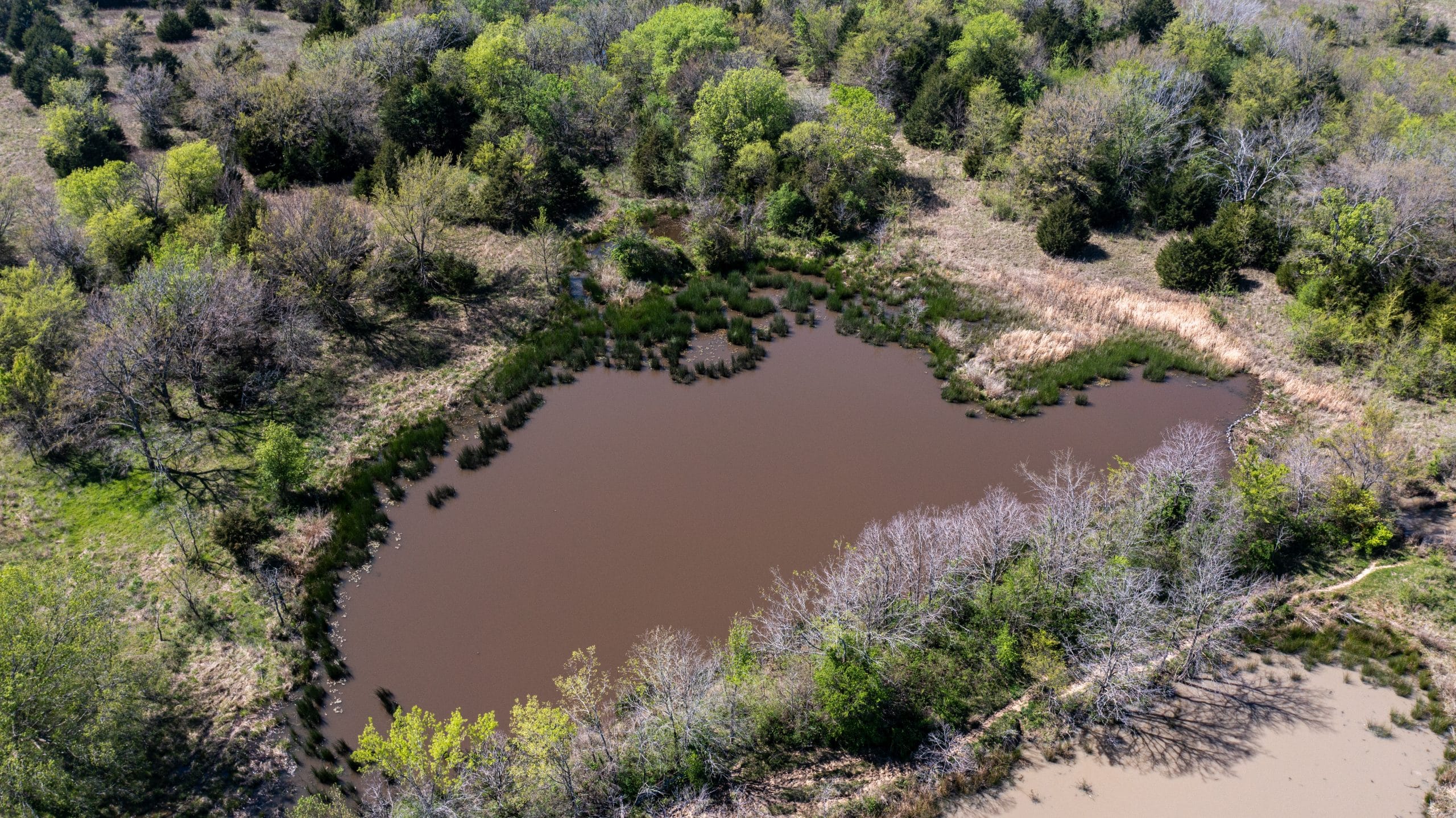 Prairie Grove photo 5