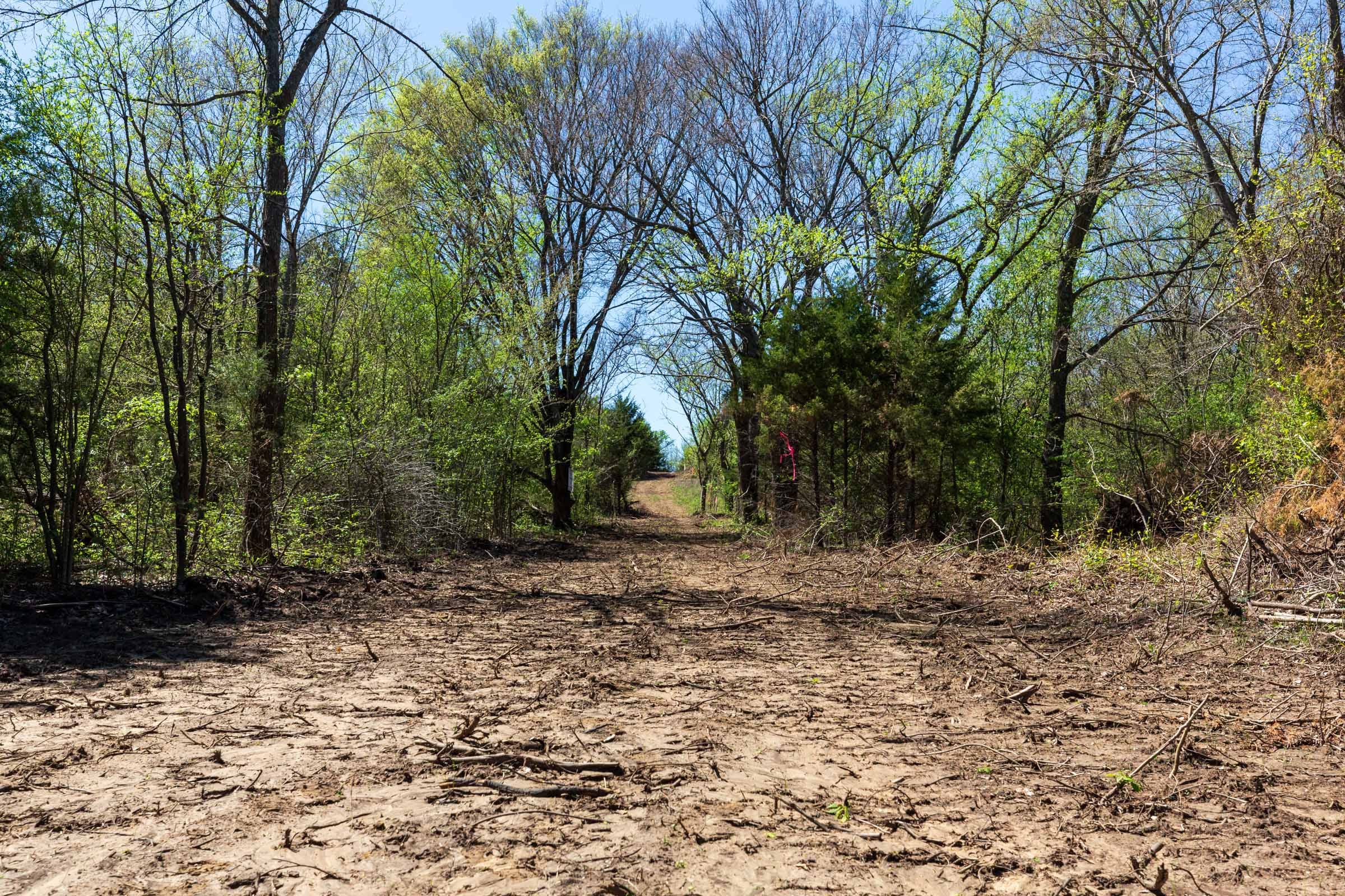 Prairie Grove Tract 27 photo 1