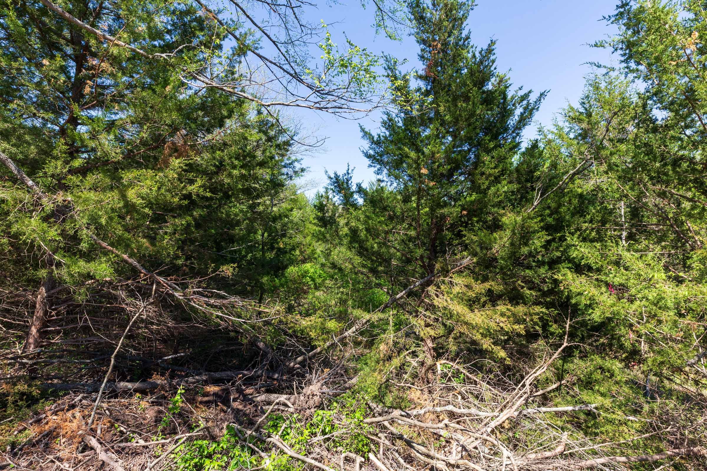 Prairie Grove Tract 27 photo 7