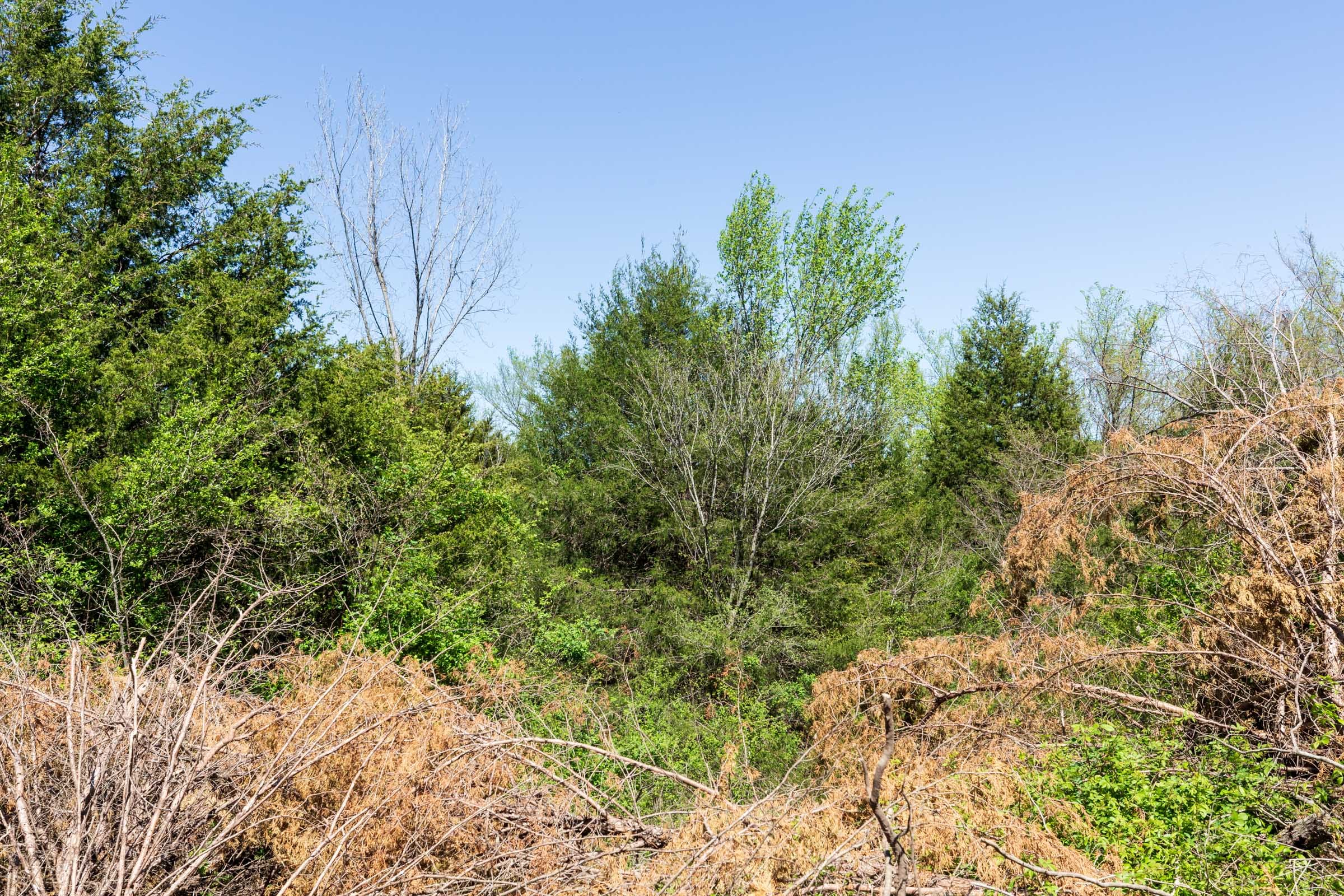 Prairie Grove Tract 27 photo 10