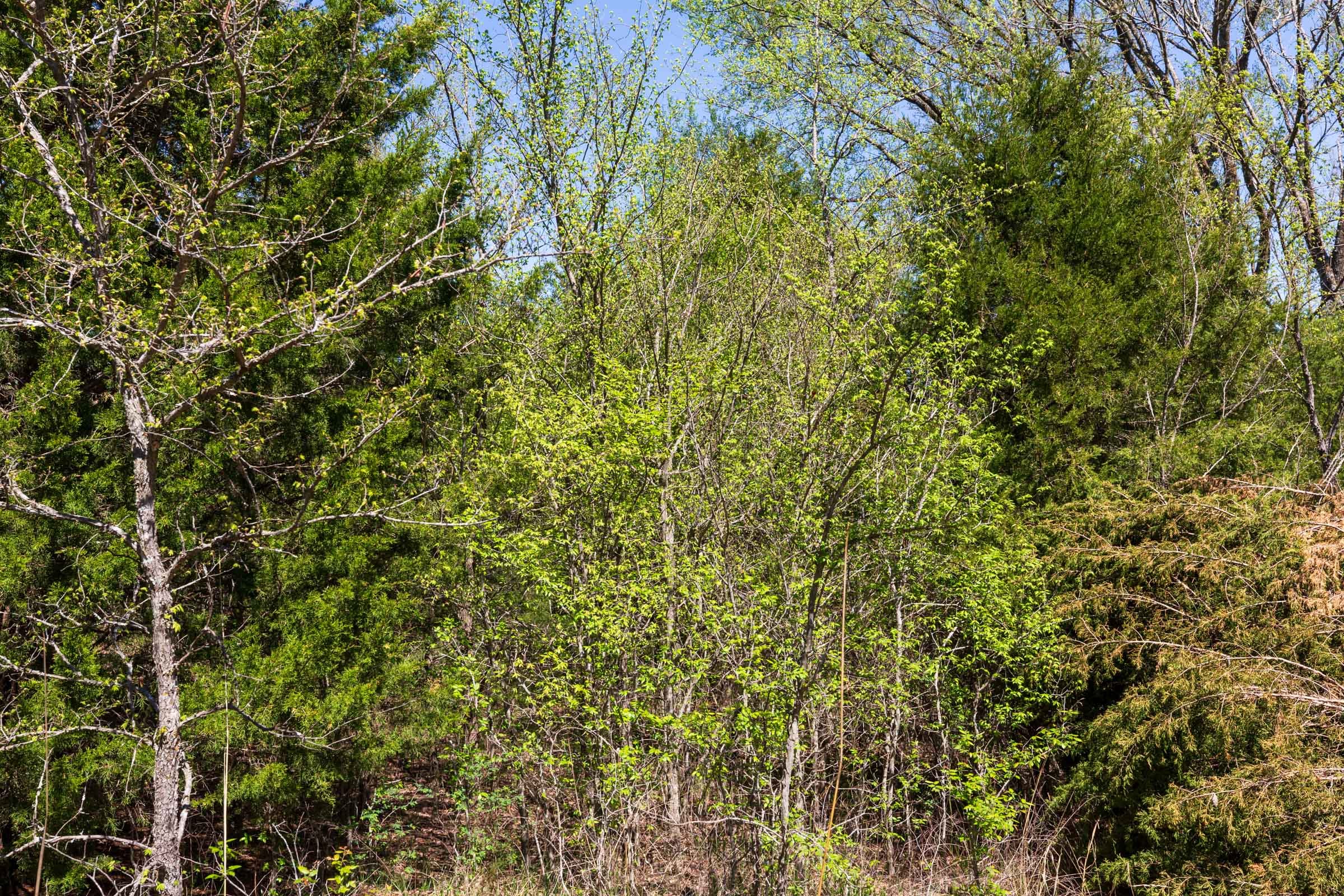 Prairie Grove Tract 27 photo 13