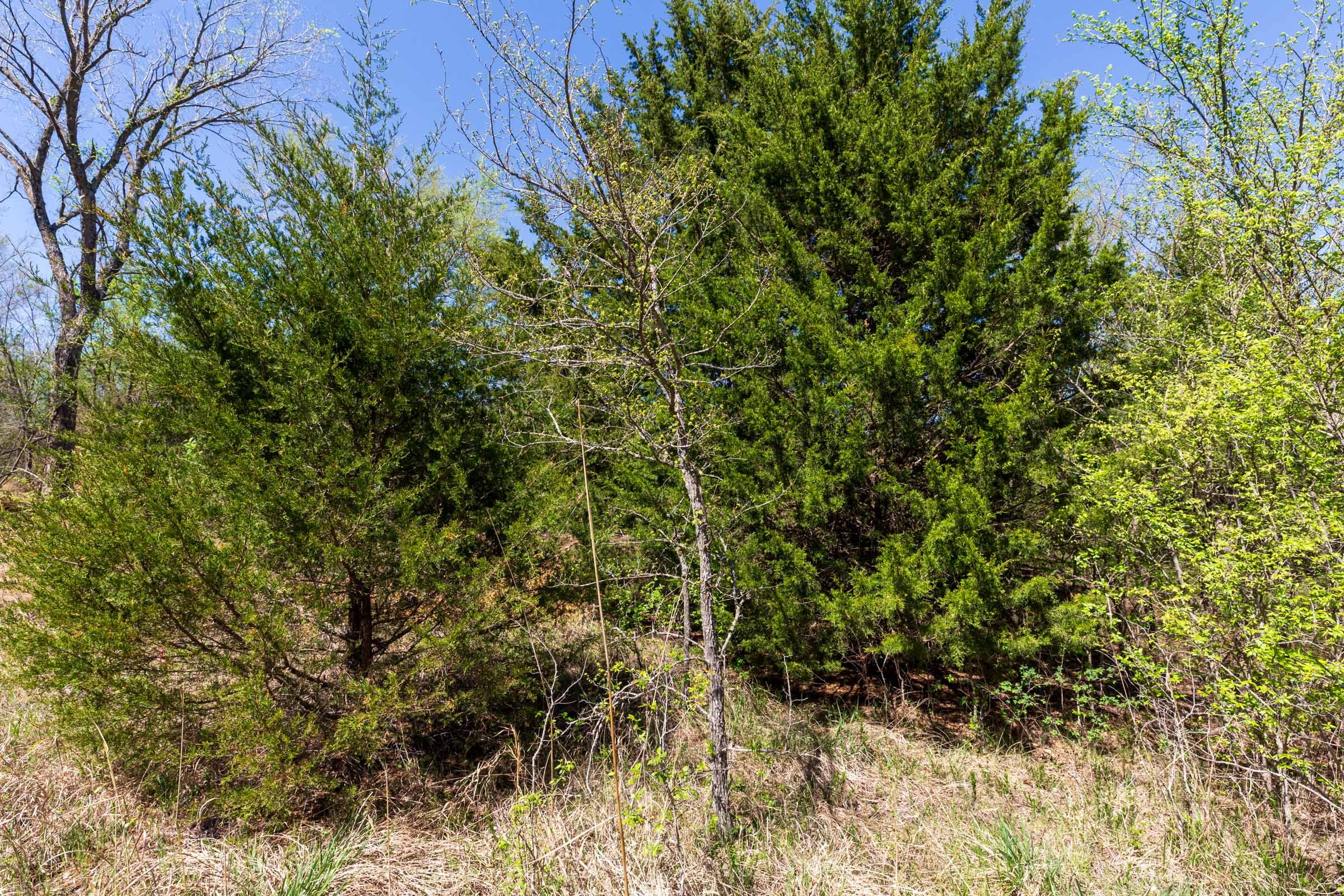 Prairie Grove Tract 27 photo 14