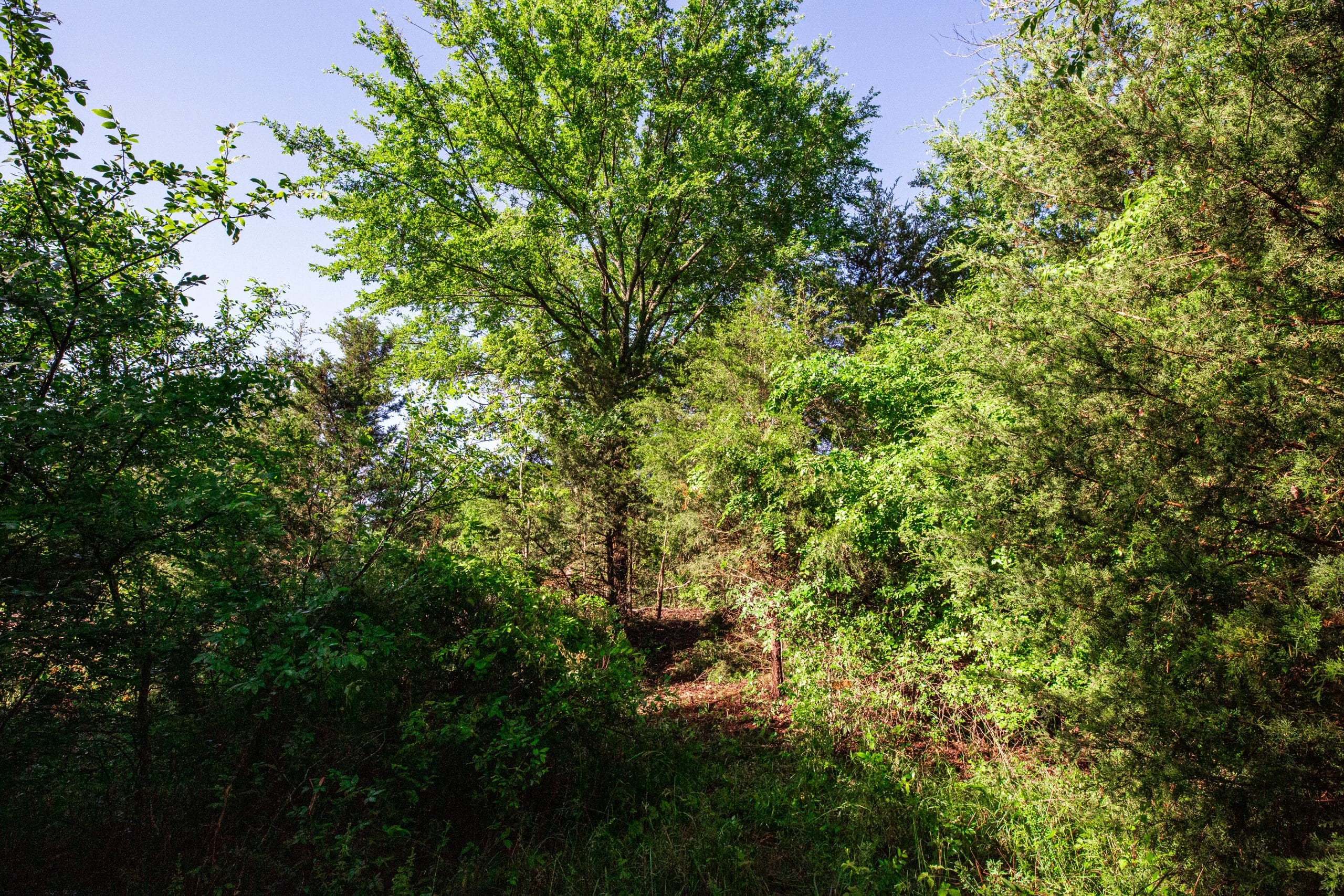 Prairie Grove Tract 27 photo 4