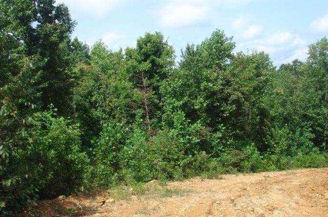 Sugartree Falls Tract 32 photo 1