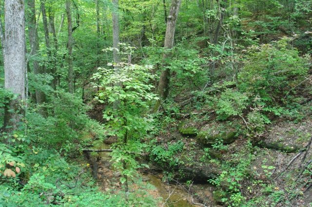 Sugartree Falls Tract 32 photo 3