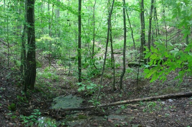 Sugartree Falls Tract 32 photo 6