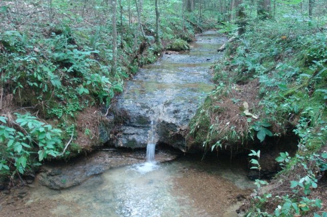 Sugartree Falls Tract 32 photo 7