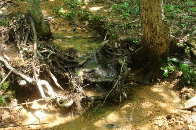 Sugartree Falls Tract 32 photo 13