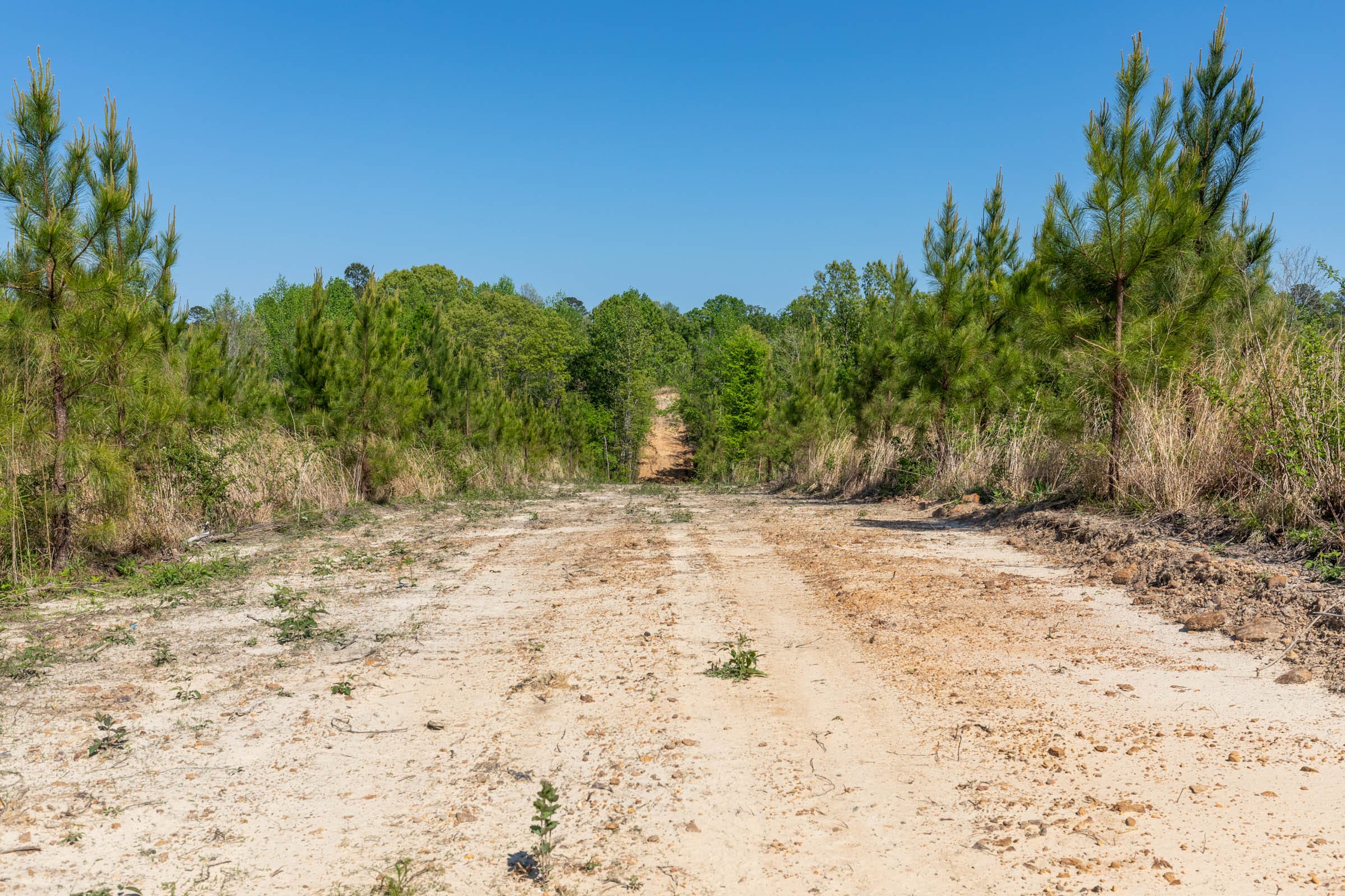 Clear Wood Tract 5 photo 8