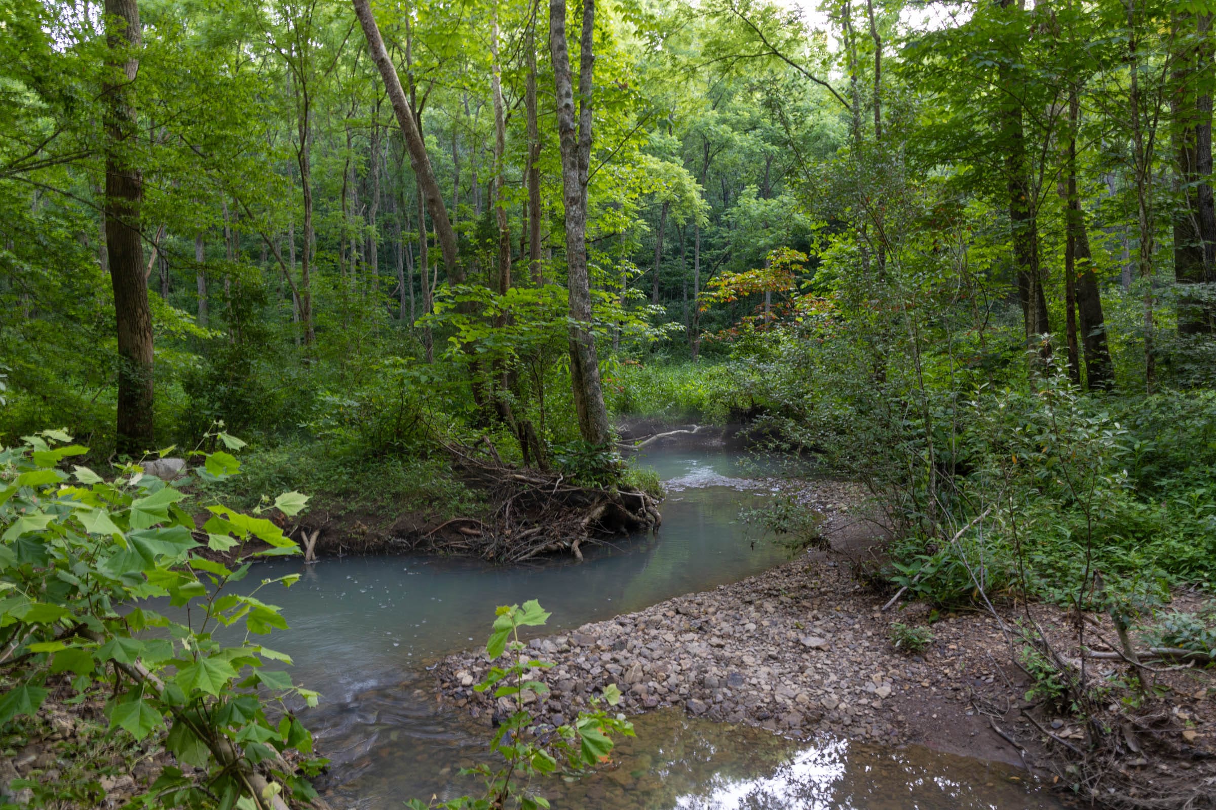 Creek Hollow Phase II Tract 64 photo 5