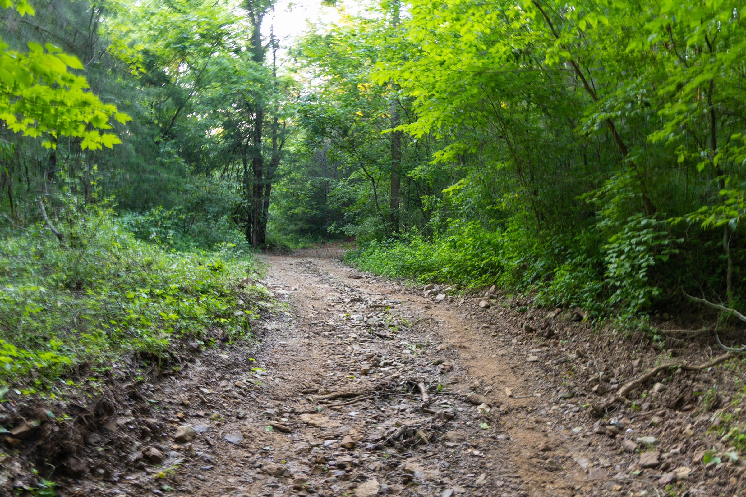 Creek Hollow Phase II Tract 64 photo 6