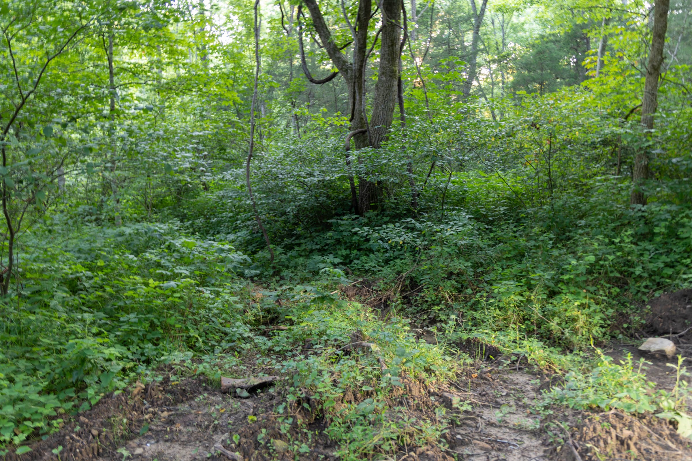 Creek Hollow Phase II Tract 64 photo 13