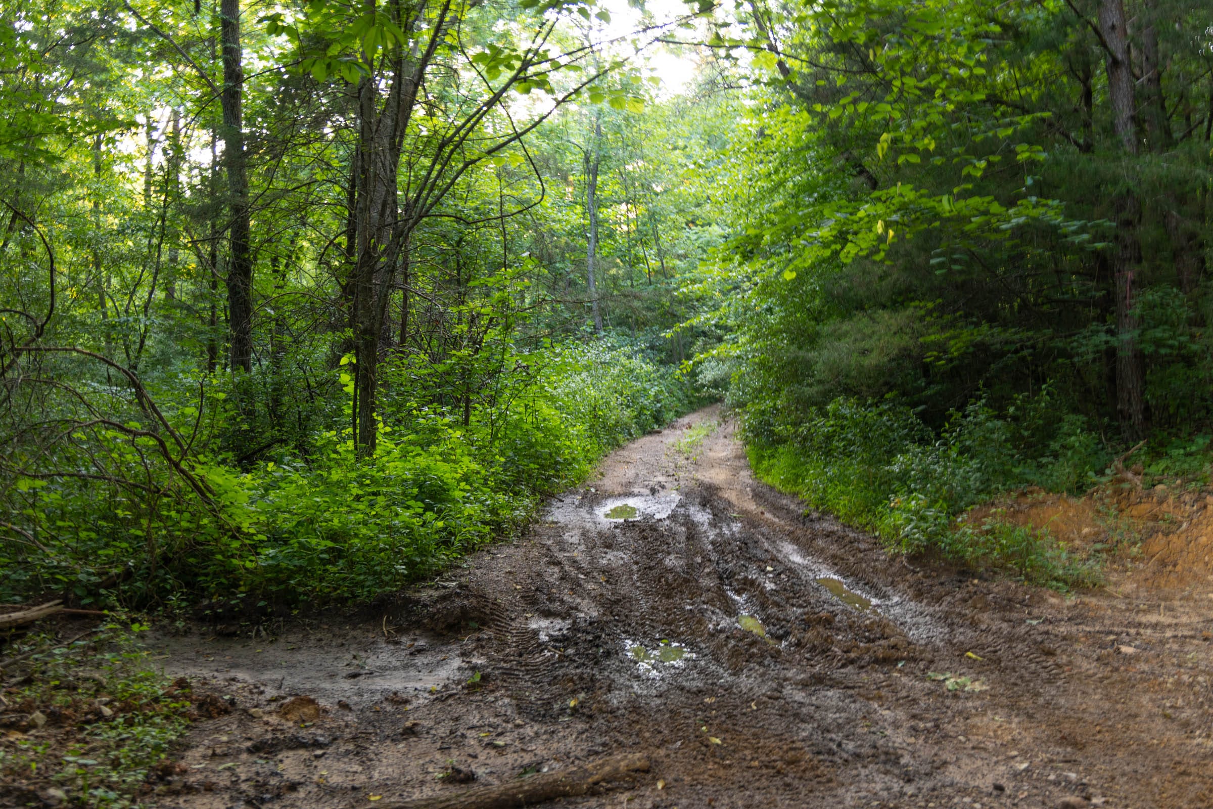 Creek Hollow Phase II Tract 64 photo 12