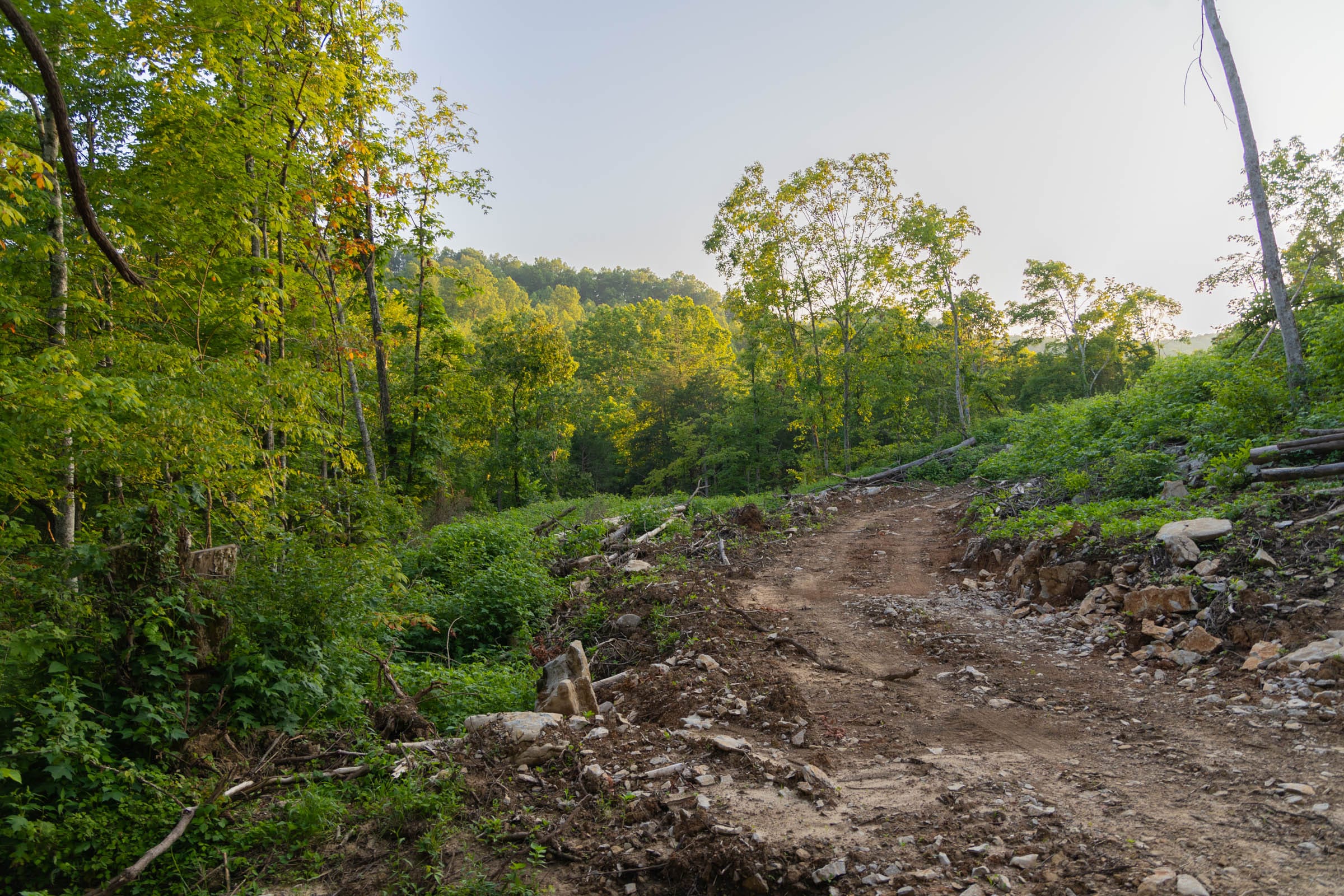 Creek Hollow Phase II Tract 64 photo 10