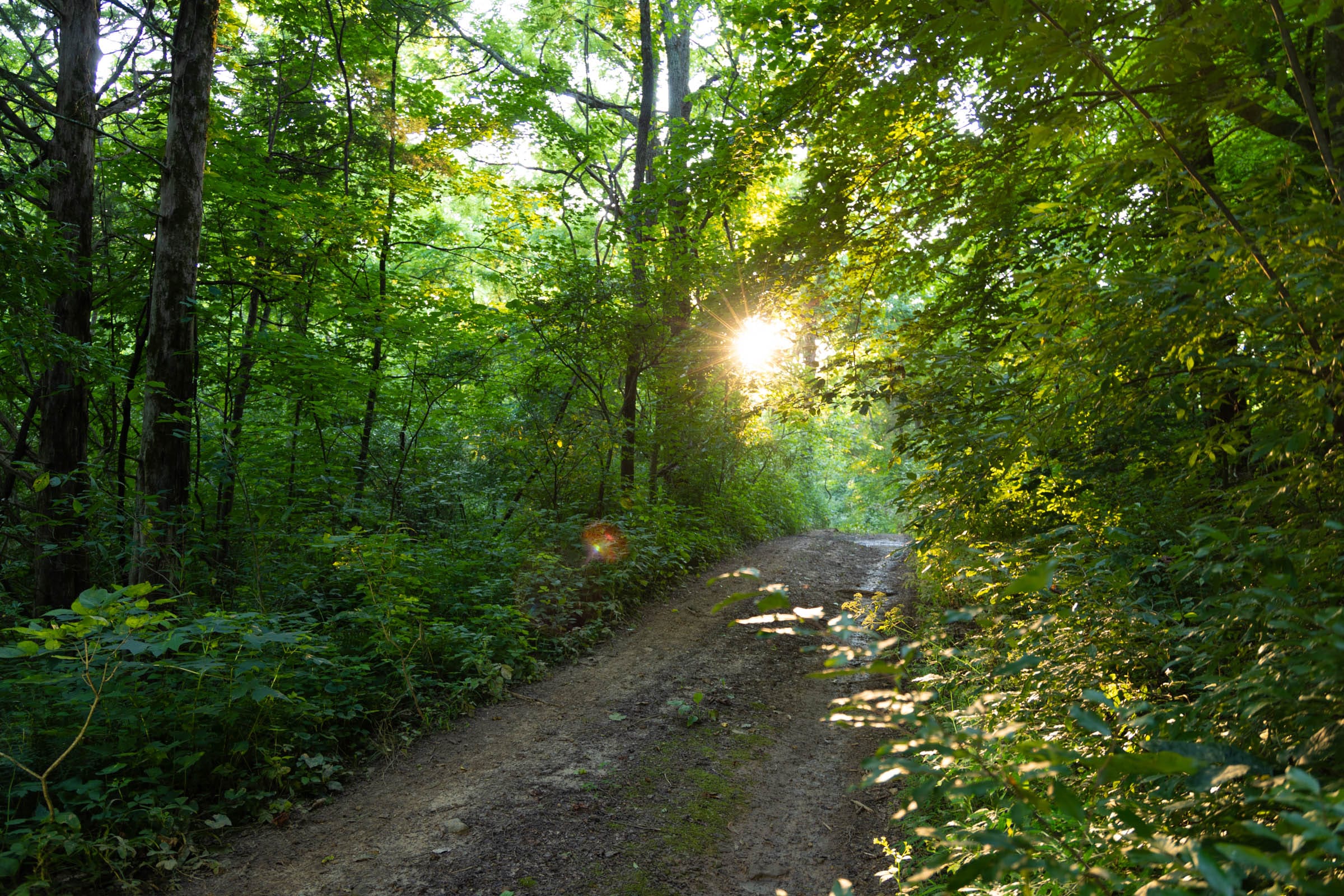 Creek Hollow Phase II Tract 64 photo 9