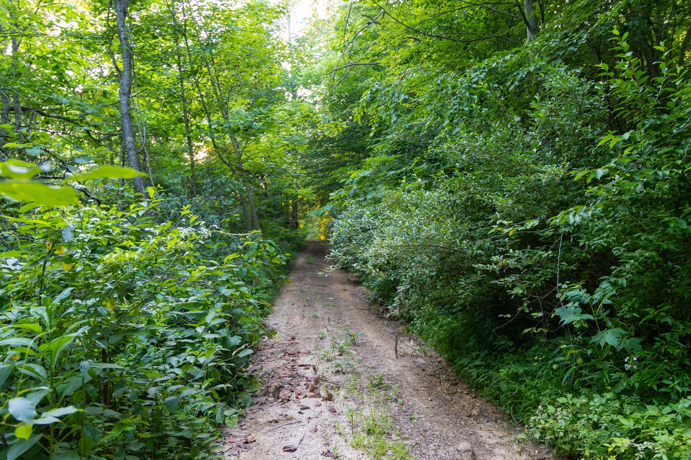 Creek Hollow Phase II Tract 64 photo 1