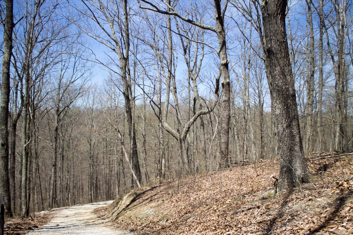 Chestnut Oak Ridge Tract 24 photo 2