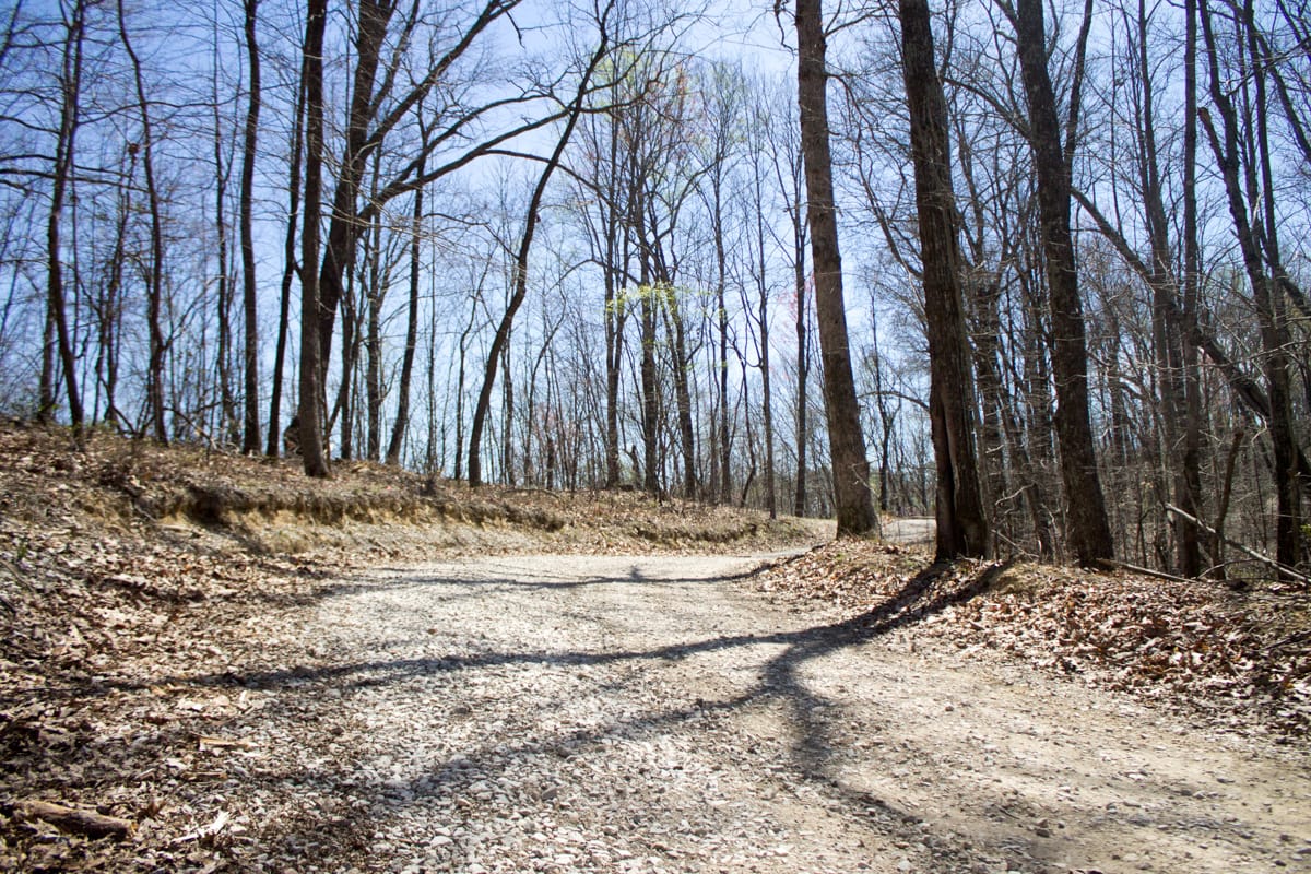 Chestnut Oak Ridge Tract 24 photo 3