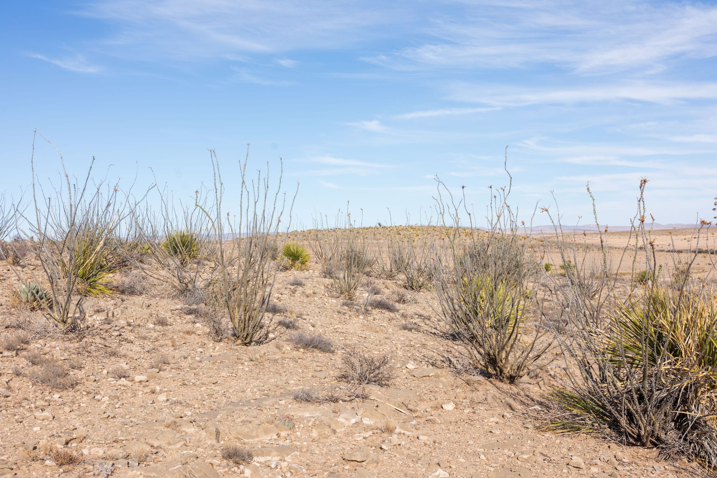 Sunrise Ranches Phase II Tract 70 photo 6