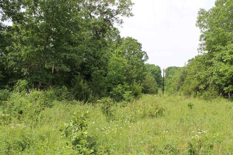 Cedar Ridge Ranch Tract 12 photo 2
