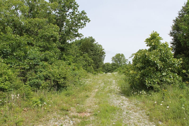 Cedar Ridge Ranch Tract 12 photo 1