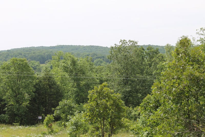 Cedar Ridge Ranch Tract 12 photo 8