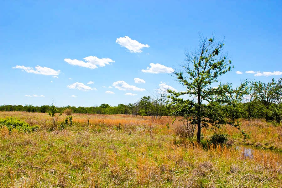 Saddlebrook Ranch Tract 44 photo 1