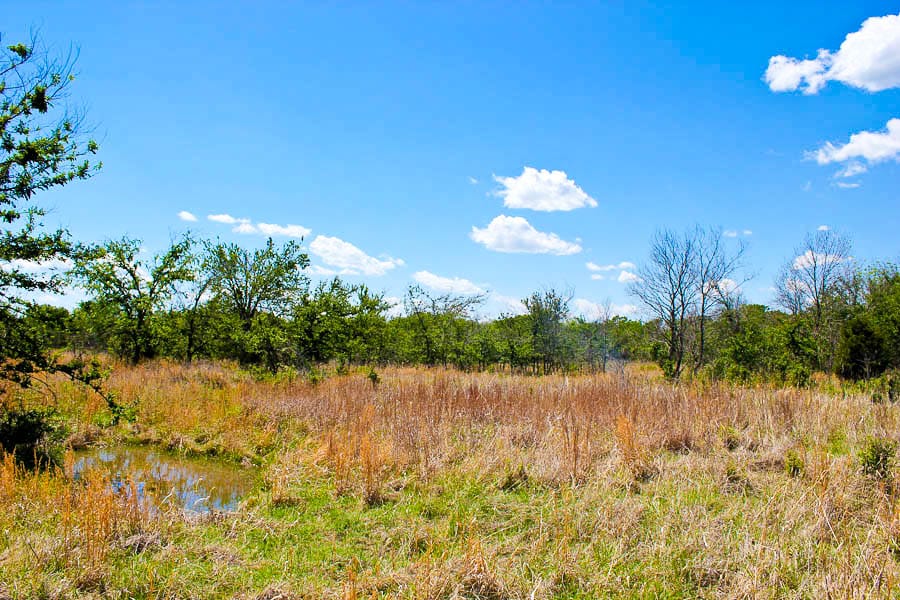 Saddlebrook Ranch Tract 44 photo 2