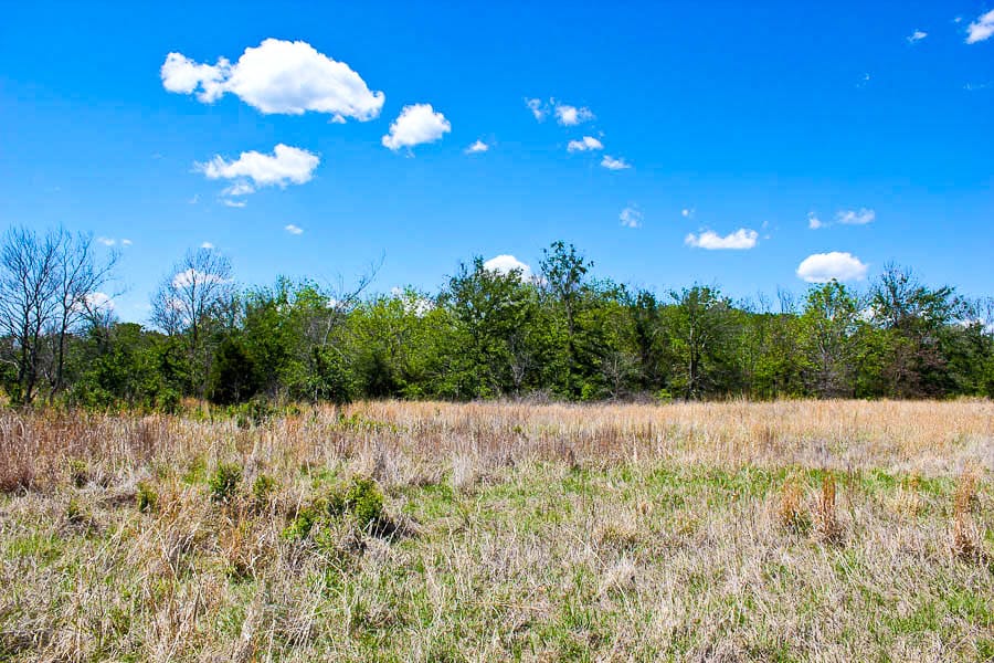 Saddlebrook Ranch Tract 44 photo 3